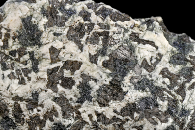 Gabbro - détail (Massif du Chenaillet, Alpes)